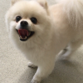 ♪プレイルーム動画♪②の画像