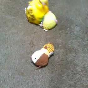 …しながら前進！の画像