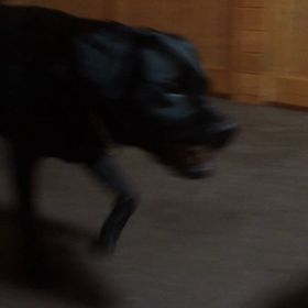 ナツアキ  27日目の画像