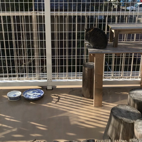 気づくの遅っの画像