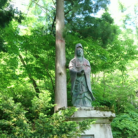 風と緑と鳥の音との画像