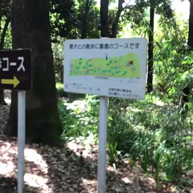 ♪お散歩動画♪砧公園♪の画像