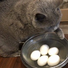 おいしくなぁれ(∩^o^)⊃━☆ﾟ.*･｡の画像