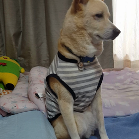ねむたいーの画像