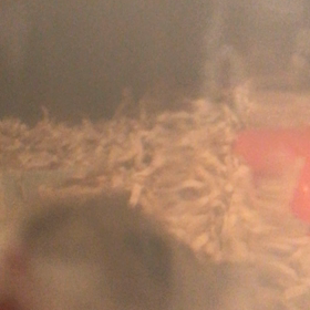 出して出して〜の画像