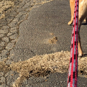 イケイケモードの画像