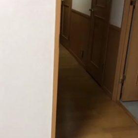 糖尿病や動脈硬化がある主人にバレンタイン！地震にびびってたデール。の画像