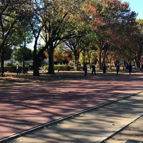 リレー特別練習⑭の画像