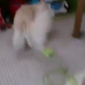 お世話になりましゅの画像