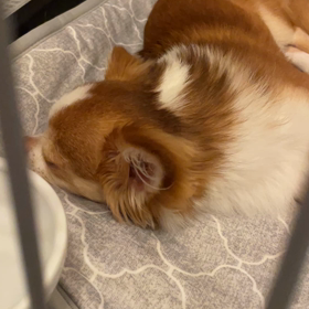 手術の前日の画像