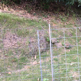 秋のお届けモノ  －ひぐらしの声－の画像