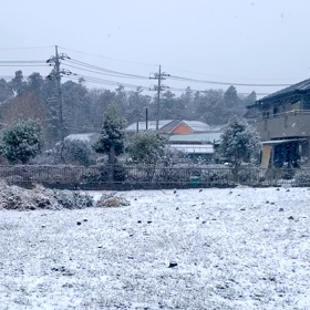 雪の画像