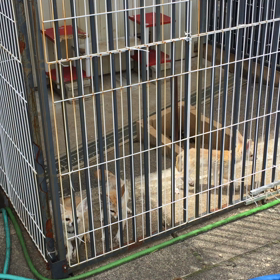 ★勢ぞろい★の画像