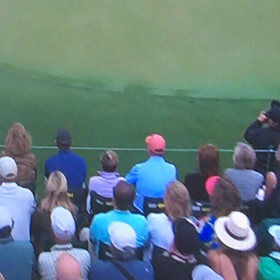 やった〜タイガーの画像