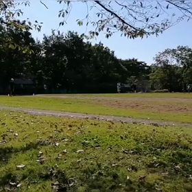 10月2日 リレー練習 29の画像