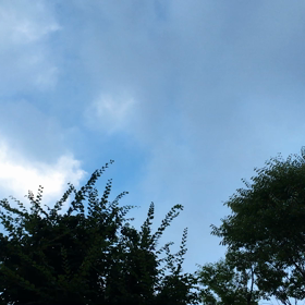 平和を願っての画像