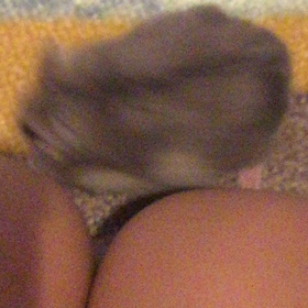 へやんぽの画像