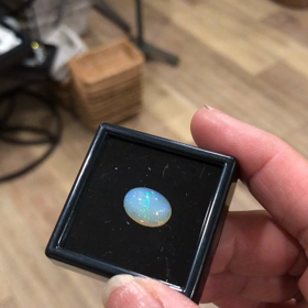 今日から蚤の市！の画像