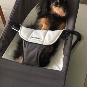 Olympic year baby が…の画像