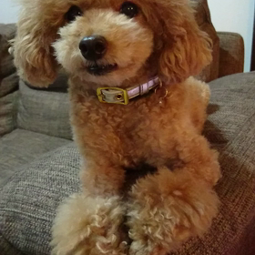 【お陰さまで元気に。でも、何か不満が.....】の画像