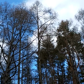 八ヶ岳で話すの画像