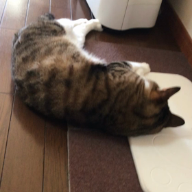 １２月６日の画像