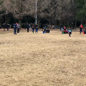 低学年リングバトン第２レース②の画像