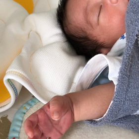 やっと暖かくなりましたの画像