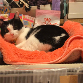 党首、脱皮…（笑）の画像