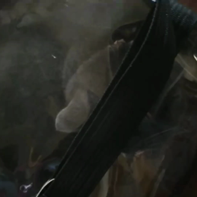 狭い所発見(ΦωΦ)の画像