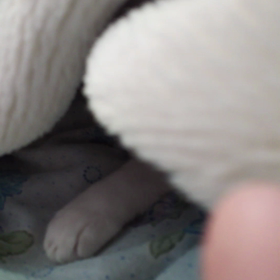 何故だろう？の画像