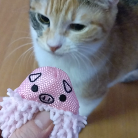 お気に入り～(=^ェ^=)の画像