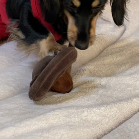 今度こそ、完全復活　抗生物質の画像