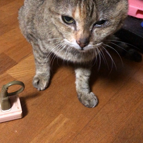 はぁ～・・な日でござる。。の画像