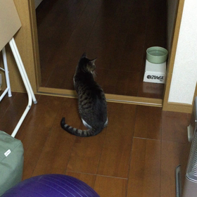 夜 その11の画像