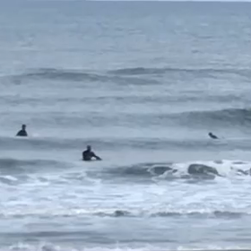 今朝の波乗り動画の画像