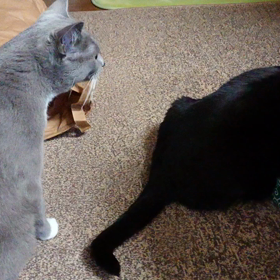 疑問……その3の画像