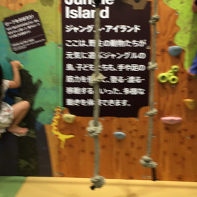 運動能力の差の画像