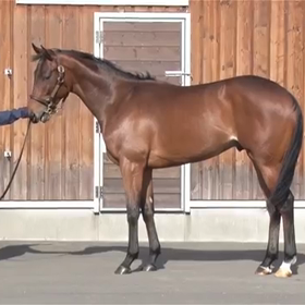 ハルーワソングの17 動画公開の画像