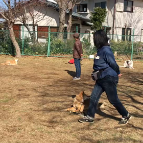 ガーコはどれ？の画像