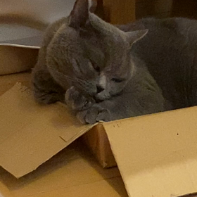 親の心子知らず❣️の画像