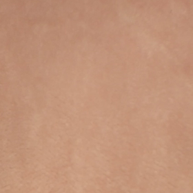 ☆  本日の 歌 ☆の画像