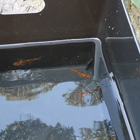 すげえの見ちゃった！の画像