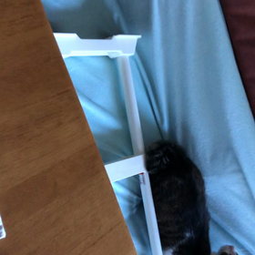 産後鬱と仕事復帰…令和ちゃんMRI。素早いデールちゃん。の画像