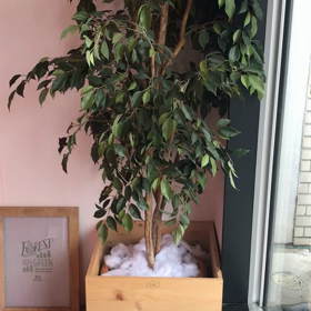 【OKAYAMASAMPO】【タピオカ専門店　LOL】の画像