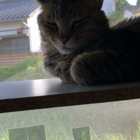 いつもの場所の画像