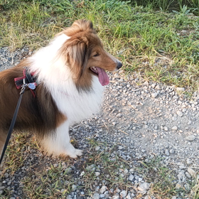 誰と遊びたいの？？の画像