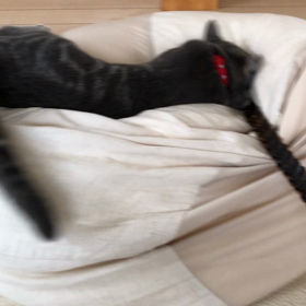 ☆ひらめ17完全復活☆の画像