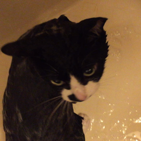 大丈夫か！の画像