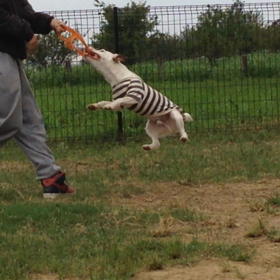 グ〜ルグル〜の画像